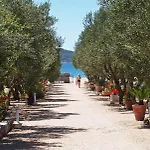Πάρκο διακοπών Olive Garden