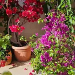 Holiday park Olive Garden 3*