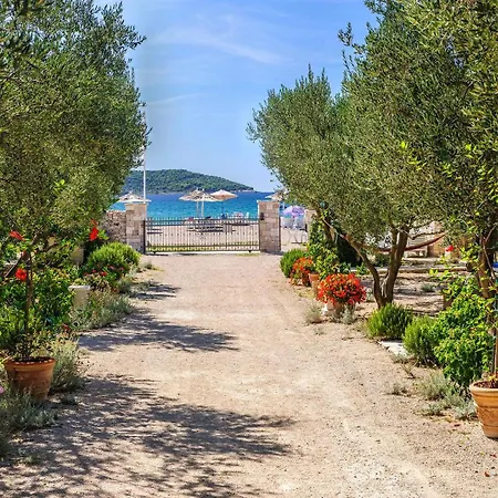 Tatil parkı Olive Garden 3*