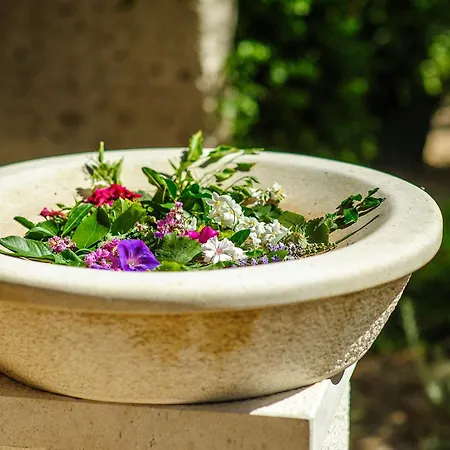 Mobile Homes Olive Garden 3*