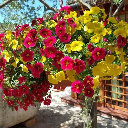 Mobile Homes Olive Garden 3* Jadrija