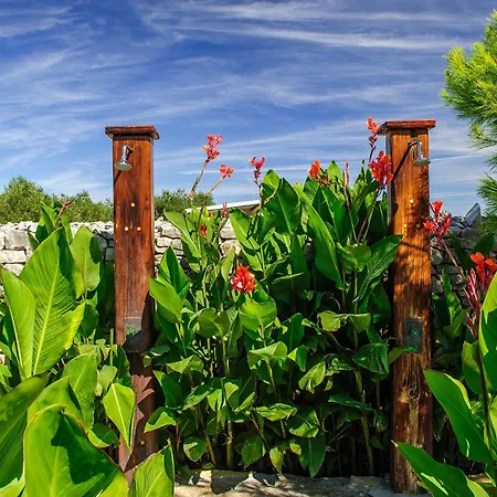 База отдыха Mobile Homes Olive Garden