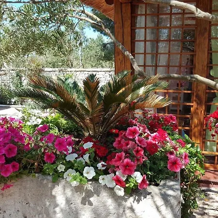 Olive Garden Tatil parkı