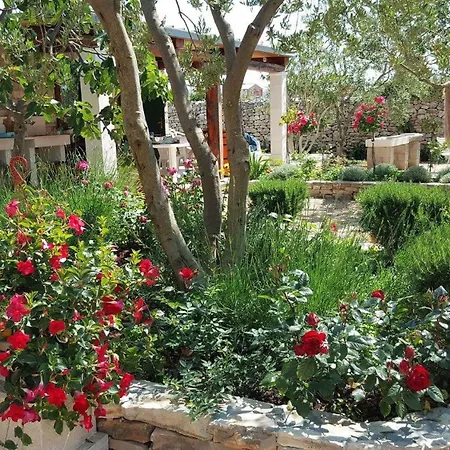 Tatil parkı Olive Garden 3*