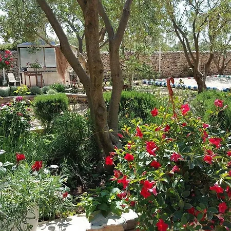 База отдыха Mobile Homes Olive Garden Ядрия