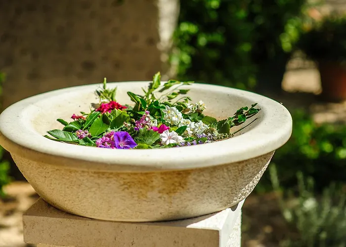 Olive Garden Resort Jadrija 3*