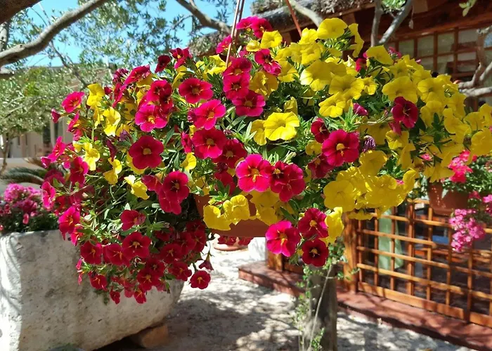 Olive Garden Resort Jadrija 3* Jadrija