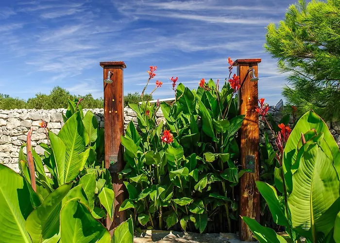 Park za odmor Olive Garden Resort Jadrija