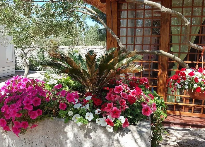 Olive Garden Resort Jadrija Park za odmor