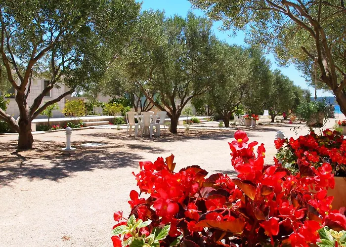 Parco vacanze Mobile Homes Olive Garden